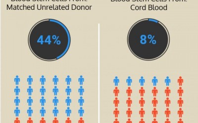 Matične ćelije iz pupčanika bolje u lečenju leukemije od koštane srži